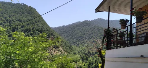 تصویر 20 - ویلا جنگلی شالما در  ماسال