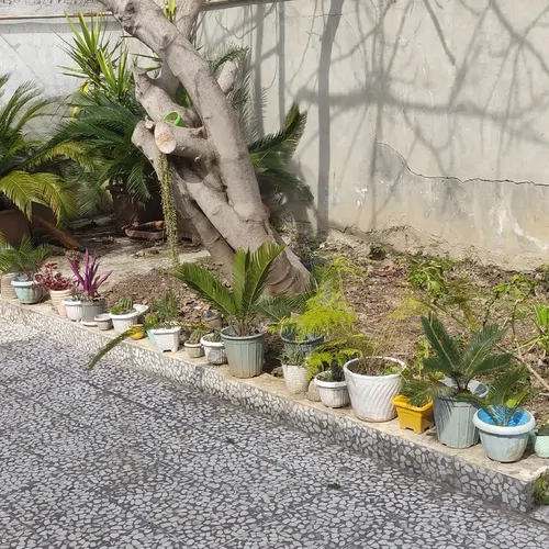 تصویر 3 - خانه ویلا در بابلسر