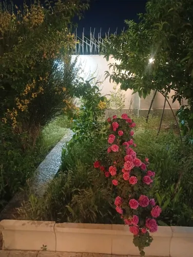 تصویر 18 - ویلا عمارت استخردار آبگرم میلاد (۴) در سهیلیه