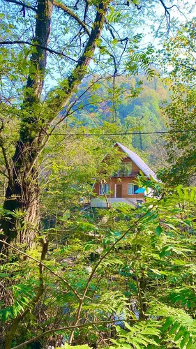 تصویر 28 - کلبه چوبی امیر  در  جاده اسالم خلخال