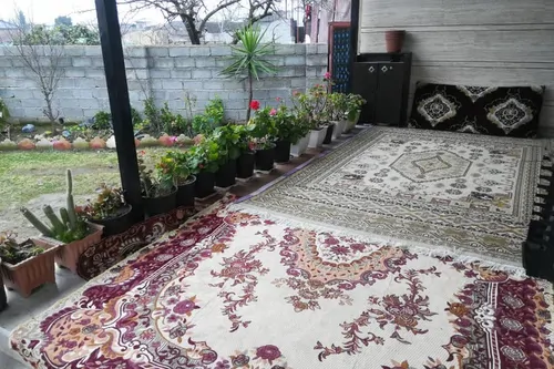 تصویر 3 - ویلا دربست ساحلی در تالش