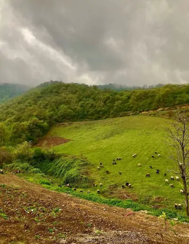 تصویر 10 - خانه ویلایی ملک  در  علی آباد کتول