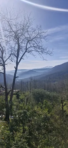 تصویر 16 - کلبه استخردار آبگرم جنگلی سوما با فوتبالدستی در رامسر