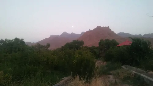 تصویر 5 - کلبه باغ روشنا در  تفت