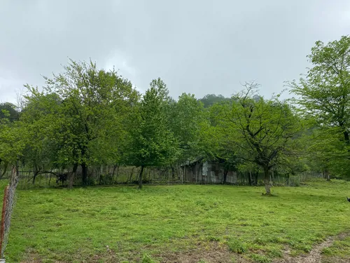 تصویر 22 - کلبه جنگلی لیام (روستای سیاهدول) در ماسال