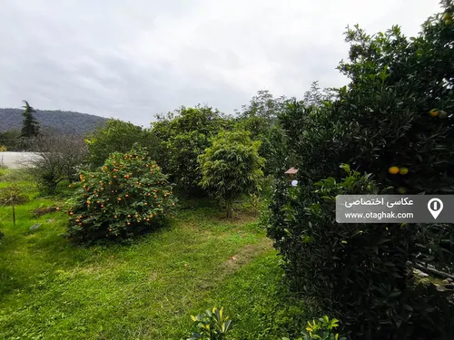 تصویر 4 - ویلا بهشت کوچک در هچیرود