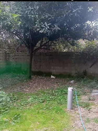 تصویر 2 - خانه ستاره در فومن