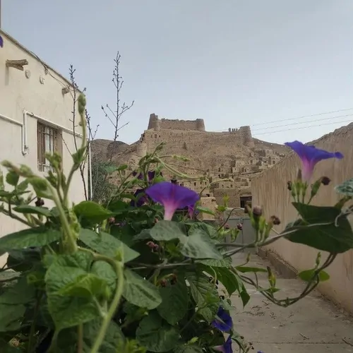 تصویر 2 - کلبه خانه روستایی در سربیشه