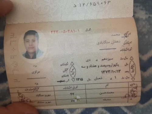 تصویر 3 - خانه بوستان دوخوابه در یزد