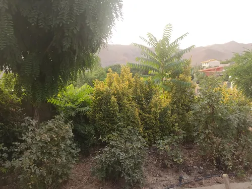 تصویر 12 - سوییت ویلایی گل باغ در  برغان
