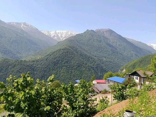 تصویر 2 - ویلا ییلاقی آفتابگردان ویودار جنگل های هیرکانی غیر شرجی در دوهزارشهسوار
