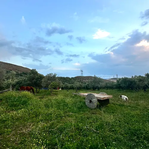 تصویر 24 - ویلا دیزاین چوب سایه در رودبار