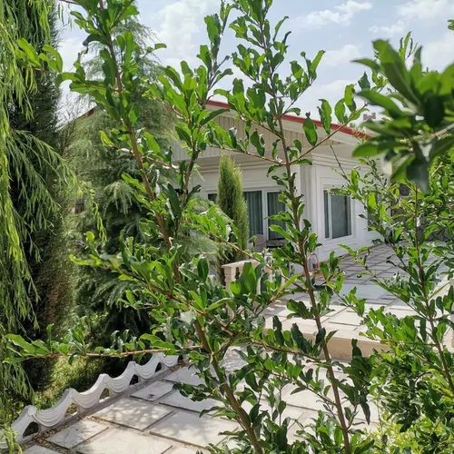 تصویر 17 - ویلا باغ استخردار آبسرد روباز در  ملارد 