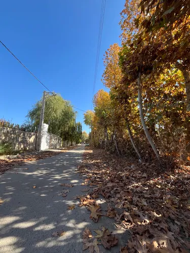 تصویر 17 - ویلا استخر آبگرم هرمس در سهیلیه