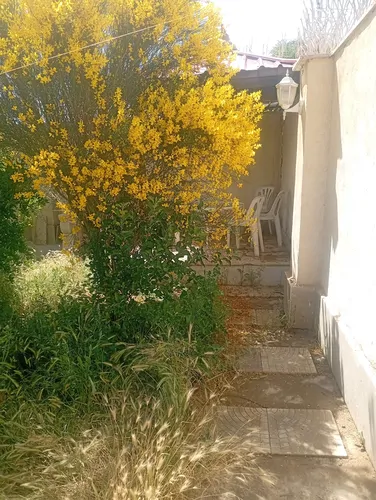 تصویر 21 - ویلا عمارت استخردار آبگرم میلاد (۴) در سهیلیه