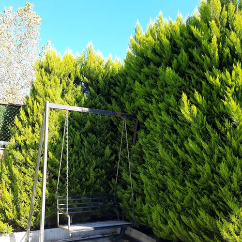 تصویر 9 - ویلا یاس با استخر آبگرم با جکوزی در چالوس