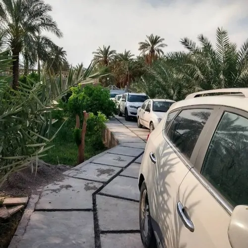 تصویر 22 - اقامتگاه بوم‌گردی هوربانو (یک خوابه) در  شهداد