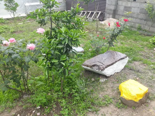 تصویر 15 - ویلا ساحلی غریبی در  پره‌سر