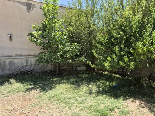 تصویر 3 - ویلا ویلا تک خواب کوهرنگ در کوهرنگ