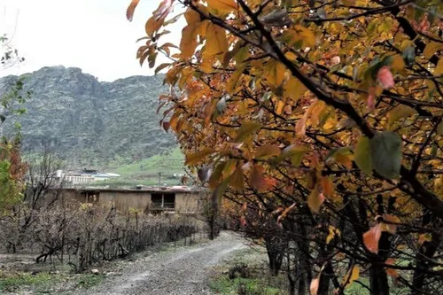 تصویر 13 - اقامتگاه بوم‌گردی کلدر(اتاق 2) در  خرم آباد