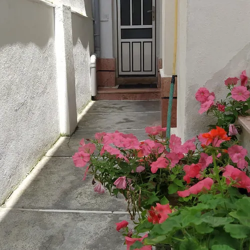 تصویر 3 - ویلا گل اطلسی در رامسر