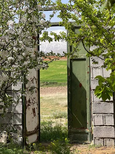 تصویر 26 - ویلا روستایی بهرامی  در  ازنا