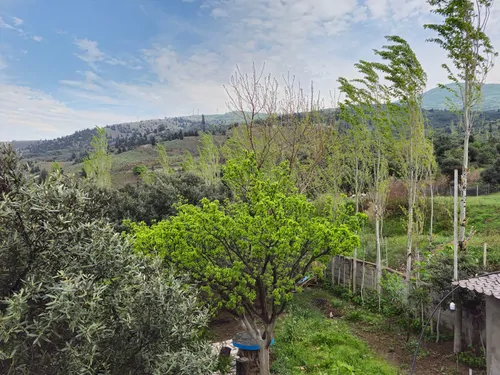 تصویر 3 - سوییت اتاق اقتصادی ۱۲ متری عمو ایرج  در رودبار