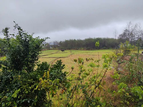 تصویر 15 - ویلا میزبان گیل در  سیاهکل