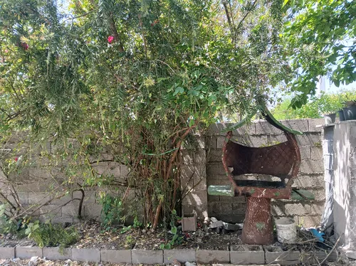 تصویر 22 - ویلا استخردار آبگرم حسن رود (کد ۳) در انزلی