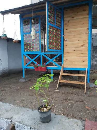 تصویر 9 - ویلا باغ ایوان  در  انزلی