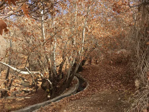 تصویر 5 - روستایی و عشایری جورگ(چهار نفره) در  سپیدان