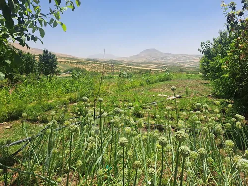 تصویر 4 - ویلا تست جدید برای داشبورد رزرو نشود برگشت ندارد در تهران
