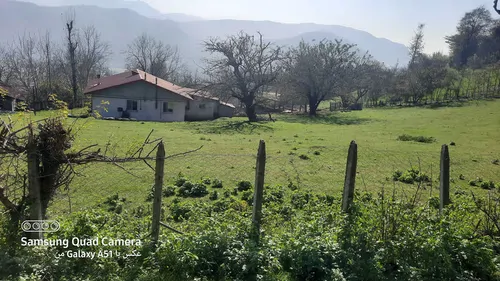 تصویر 3 - کلبه ویلا جنگلی در سکوت و آرامش به دور از ماشین ها و سرصدای خیابان در رشت