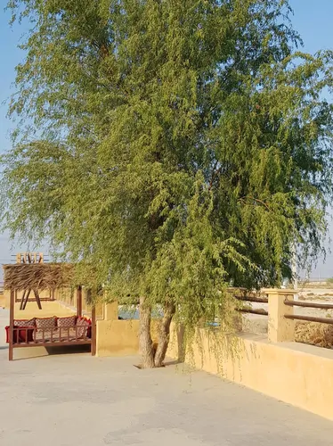 تصویر 5 - اقامتگاه بوم‌گردی  نخل ناخدا( اتاق VIP 6) در  قشم