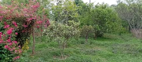 تصویر 24 - سوییت ویلایی یاسی در فومن