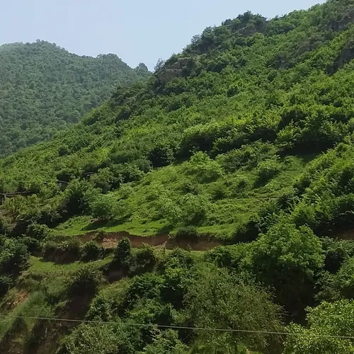 تصویر 15 - آپارتمان ملایی (واحد4) در  زیارت