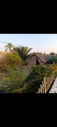 تصویر 3 - ویلا ویلا باغ مهرسانا در دشتستان