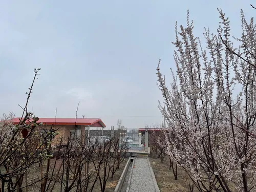 تصویر 17 - ویلا باغ رویایی در اصفهان