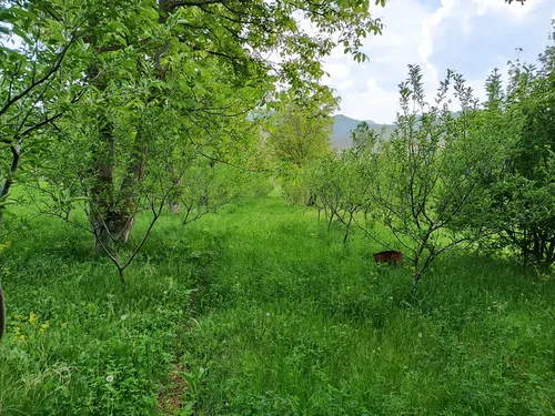 تصویر 19 - سوییت ویلایی باغ حبیبی در  کلیبر