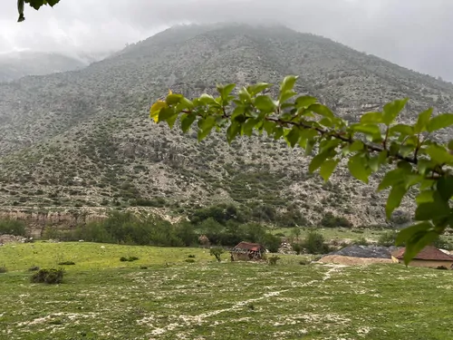 تصویر 26 - ویلا جنگلی مقتدایی در  زیراب