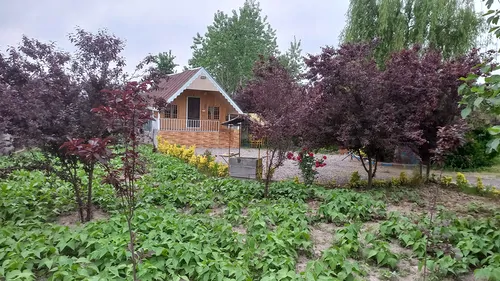 تصویر 27 - کلبه مزرعه  در  لاهیجان