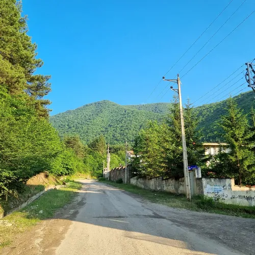 تصویر 4 - ویلا جنگلی بام شهر در  کلاردشت