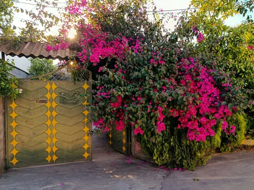 تصویر 12 - ویلا باغ دالیخانی با جکوزی در رامسر