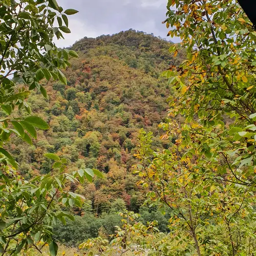 تصویر 21 - ویلا نوئل توسکستان با دیزاین چوب در  گرگان