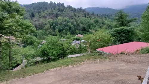 تصویر 20 - ویلا نجار آغوش جنگل و رود در  شفت