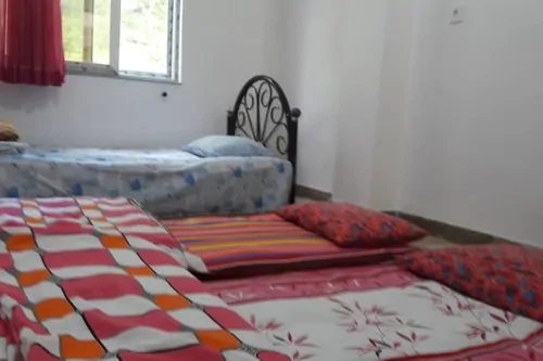 تصویر 5 - ویلا کاملا جنگلی در طبیعت بکر در  تالش