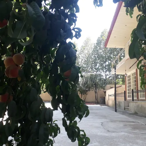 تصویر 2 - ویلا ونوس در سهیلیه