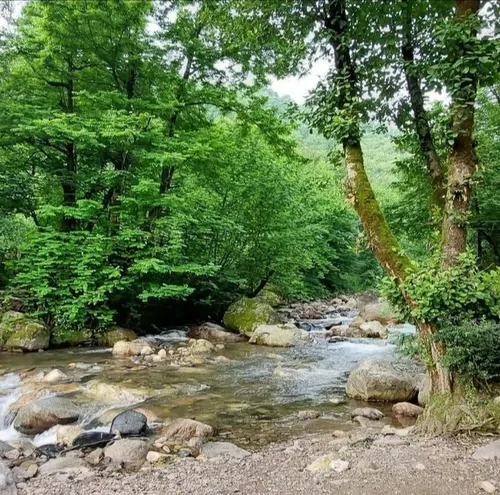 تصویر 11 - ویلا روستایی پامچال در  فومن