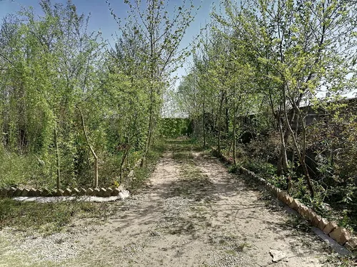 تصویر 8 - اقامتگاه بوم‌گردی خونه باغ کوچه مارپیچ (دامون) در  سیاهکل