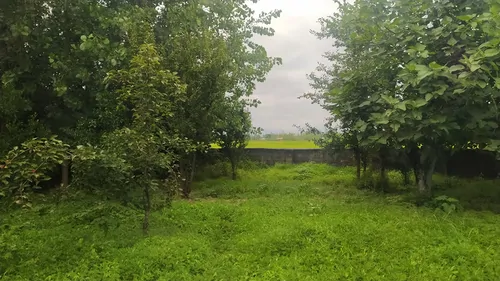 تصویر 18 - کلبه  سوئیسی کیاراد در  پره‌سر